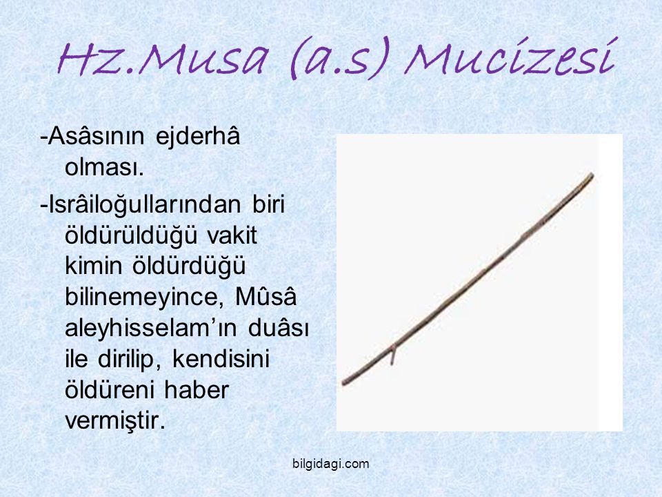 Hz.Musa (a.s) Mucizesi -Asâsının ejderhâ olması.