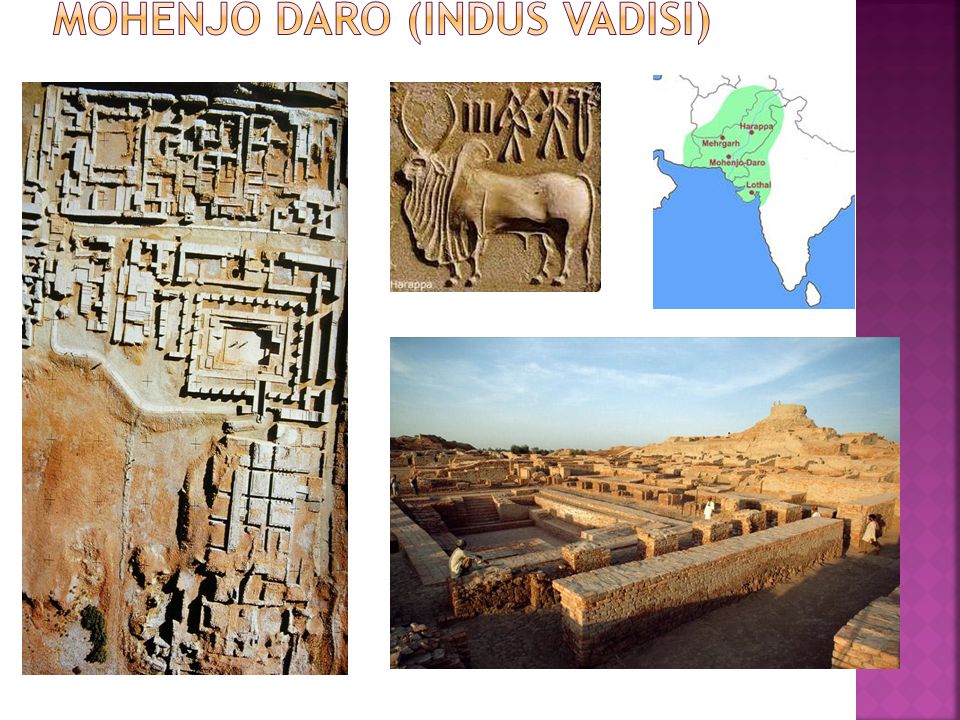 Mohenjo Daro (Indus Vadisi)