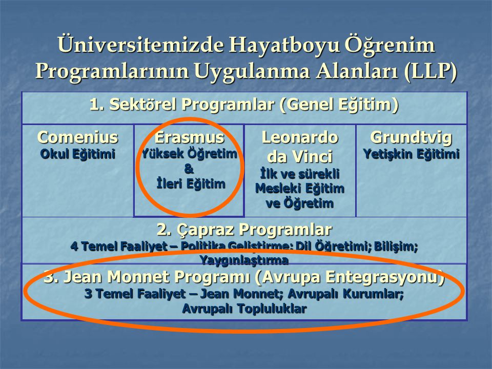 Üniversitemizde Hayatboyu Öğrenim Programlarının Uygulanma Alanları (LLP)