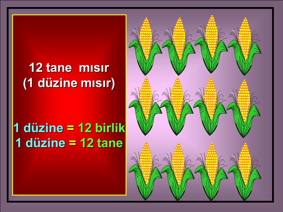 12 tane mısır (1 düzine mısır) 1 düzine = 12 birlik 1 düzine = 12 tane