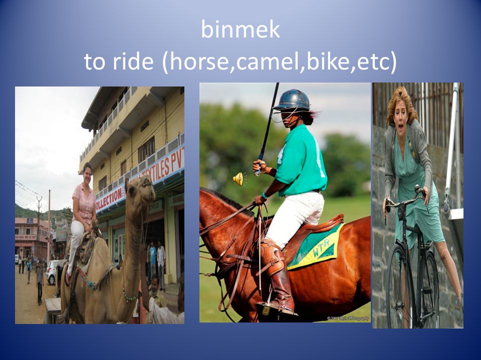 binmek to ride (horse,camel,bike,etc)