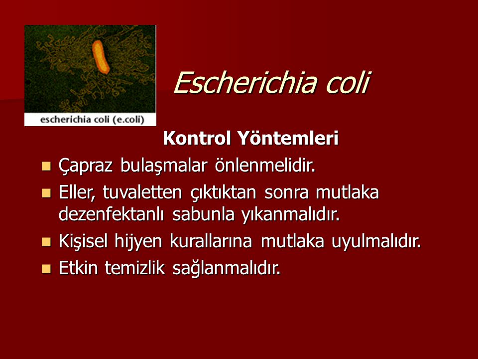 Escherichia coli Kontrol Yöntemleri Çapraz bulaşmalar önlenmelidir.