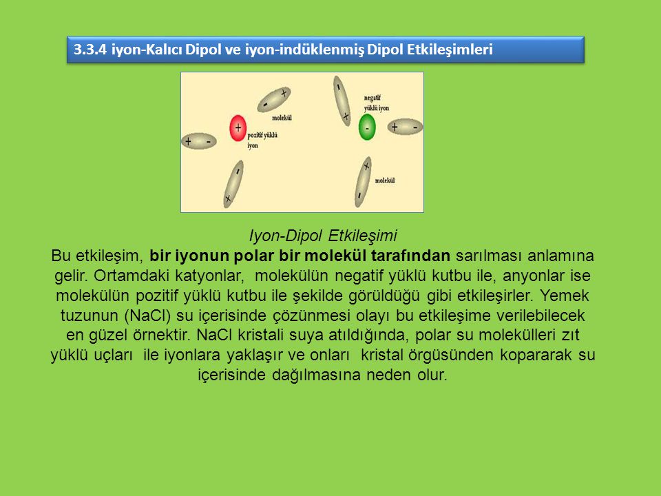 Iyon-Dipol Etkileşimi