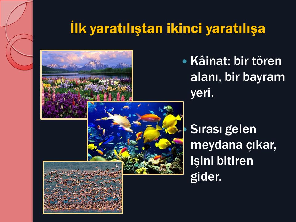 Kur’ân’ın Ve Kâinatın Dilinden İSLÂM İNANÇ İLMİHALİ ÜMİT ŞİMŞEK - Ppt Indir