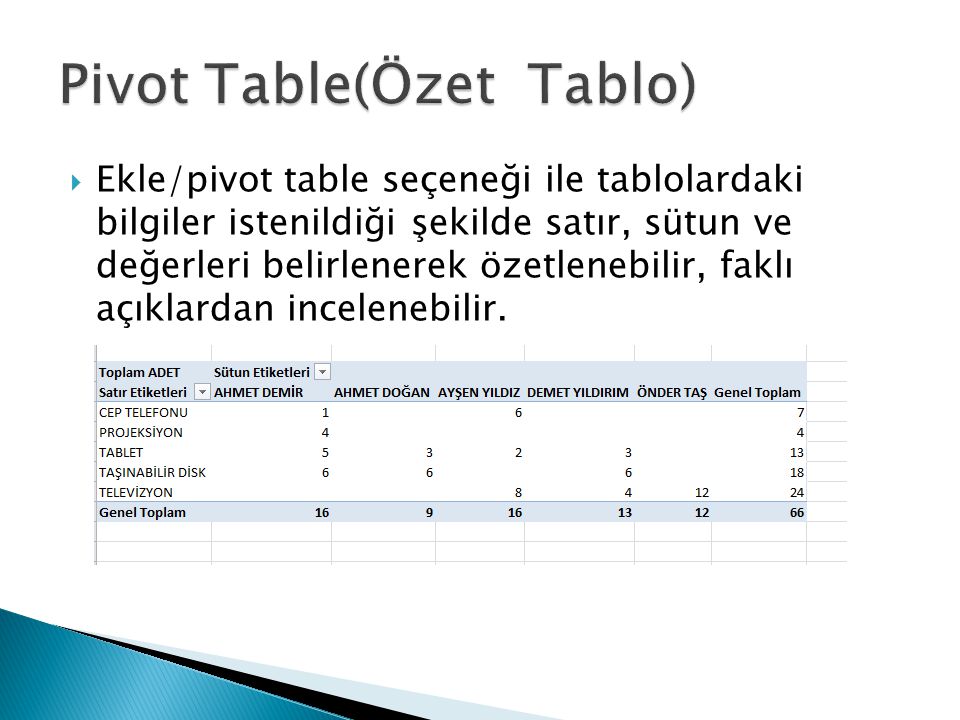 Pivot Table(Özet Tablo)