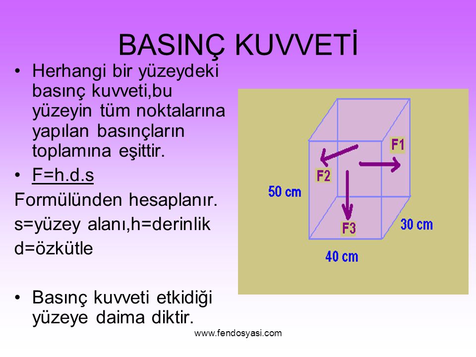 Entensity.Ney