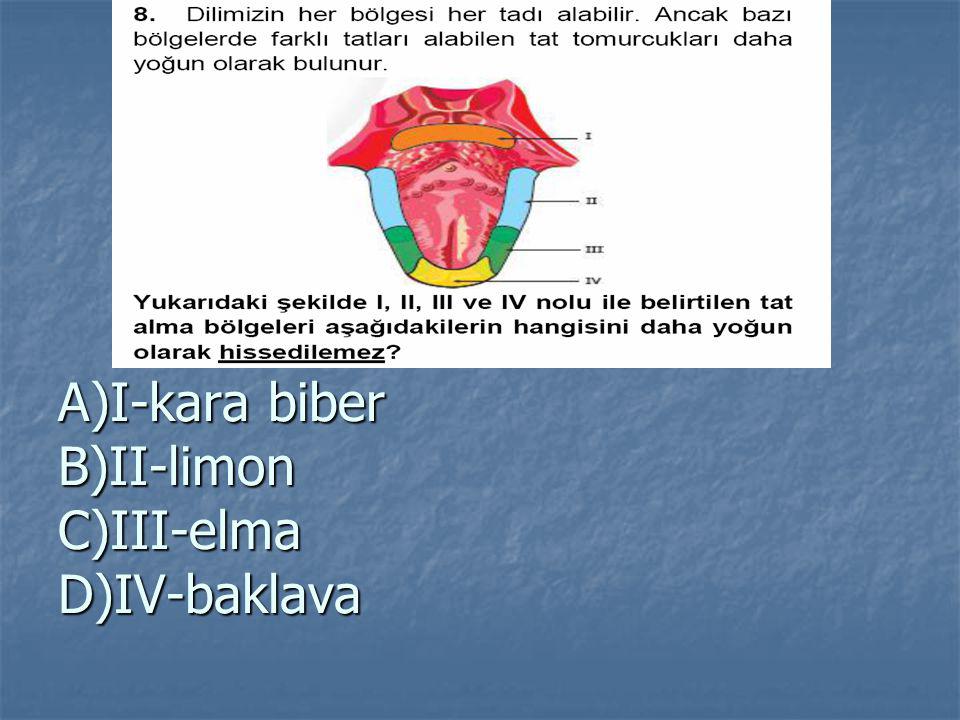 A)I-kara biber B)II-limon C)III-elma D)IV-baklava