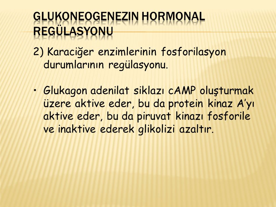 Glukoneogenezin Hormonal Regülasyonu