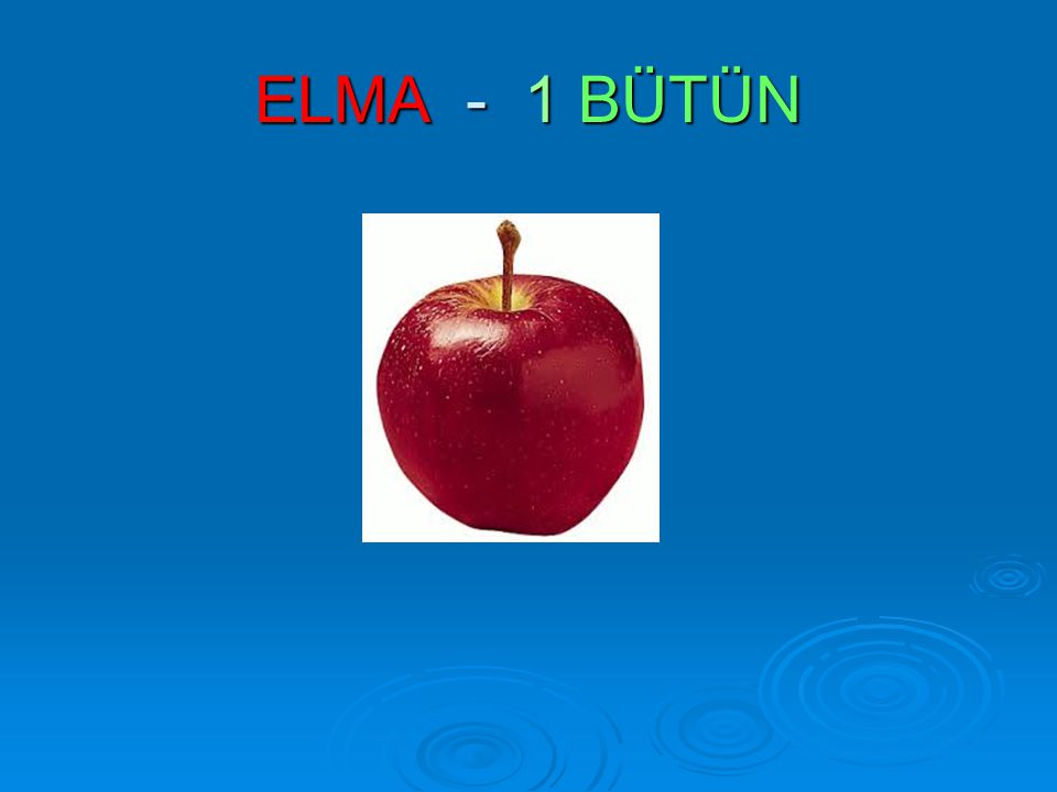 ELMA - 1 BÜTÜN