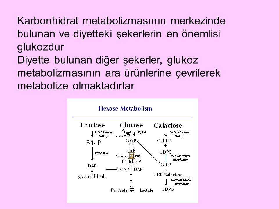 Karbonhidrat metabolizmasının merkezinde bulunan ve diyetteki şekerlerin en önemlisi glukozdur