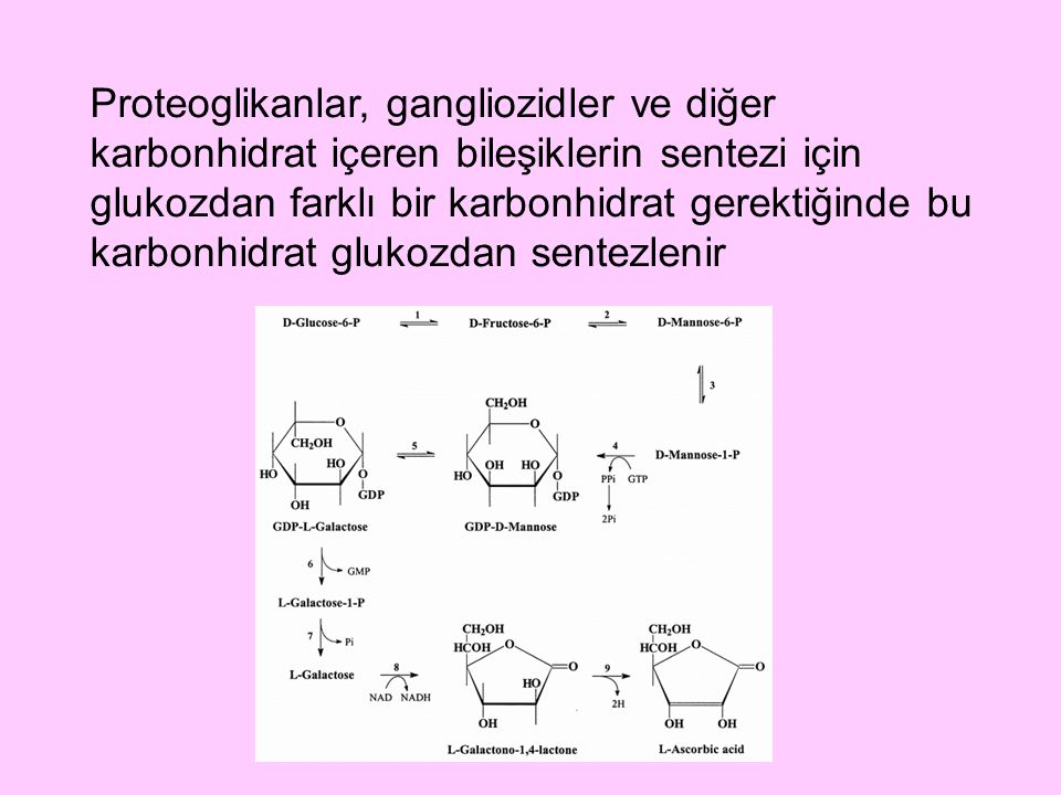 Proteoglikanlar, gangliozidler ve diğer karbonhidrat içeren bileşiklerin sentezi için glukozdan farklı bir karbonhidrat gerektiğinde bu karbonhidrat glukozdan sentezlenir