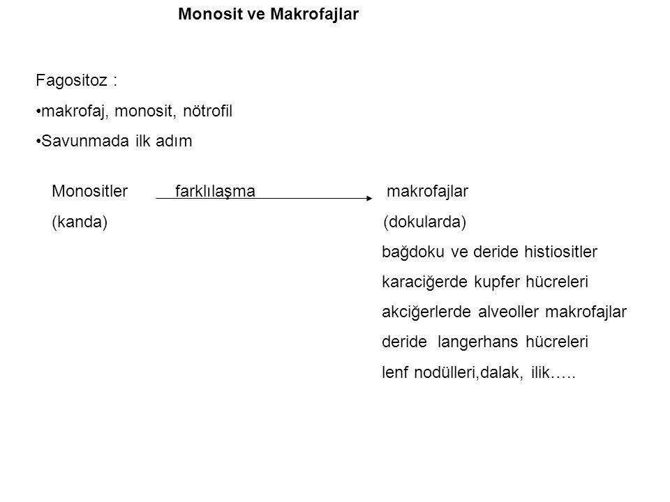 Monosit ve Makrofajlar