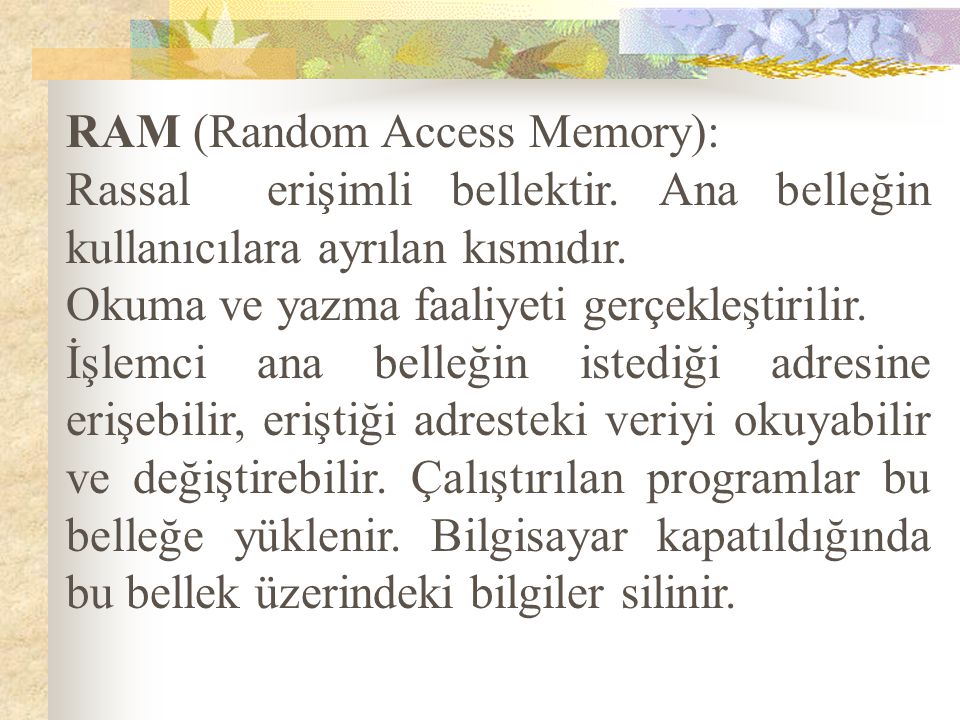 RAM (Random Access Memory):