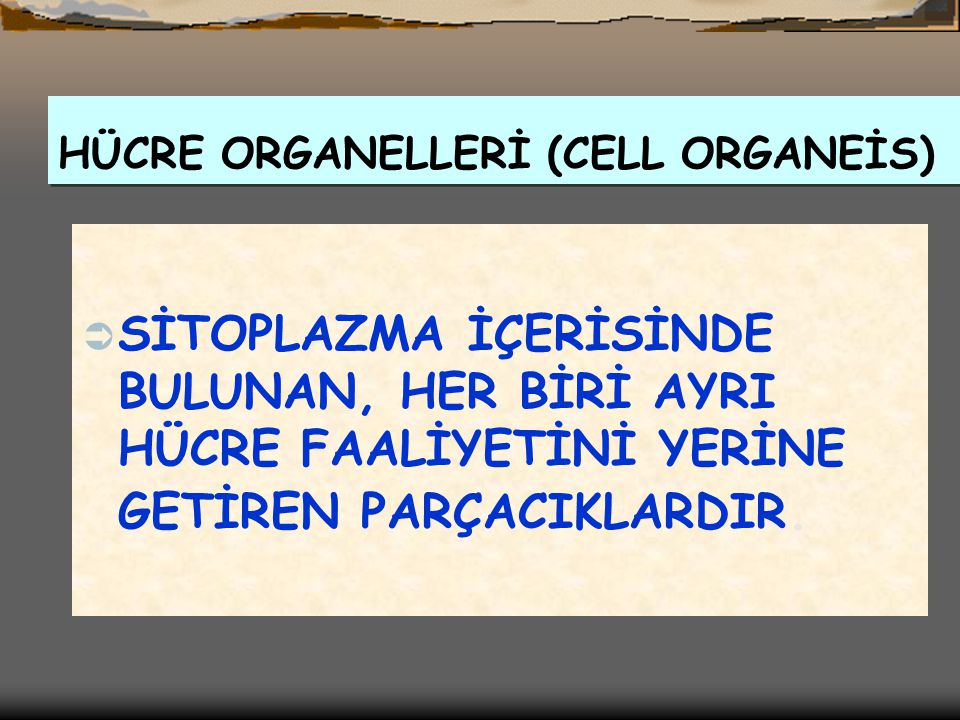HÜCRE ORGANELLERİ (CELL ORGANEİS)