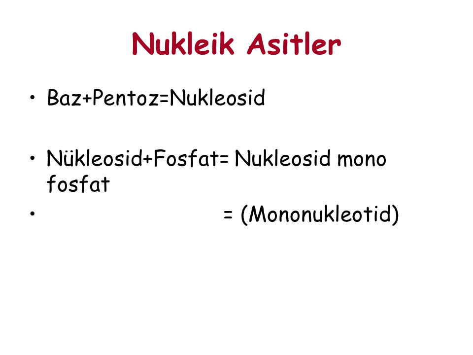 Nukleik Asitler Baz+Pentoz=Nukleosid