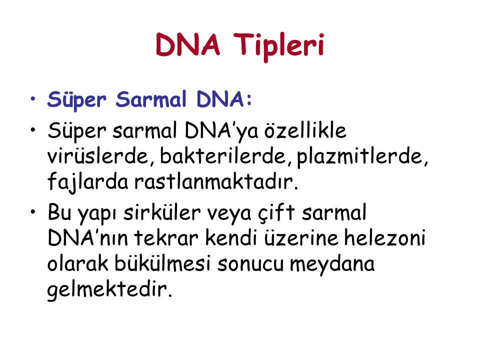 DNA Tipleri Süper Sarmal DNA: