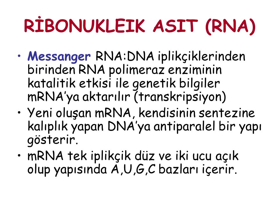 RİBONUKLEIK ASIT (RNA)