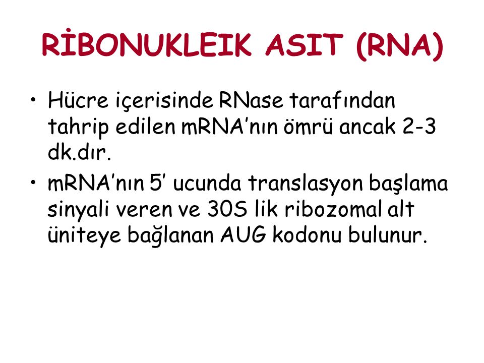 RİBONUKLEIK ASIT (RNA)