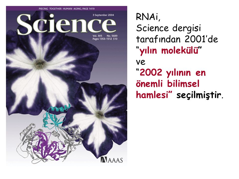 RNAi, Science dergisi tarafından 2001’de yılın molekülü ve.