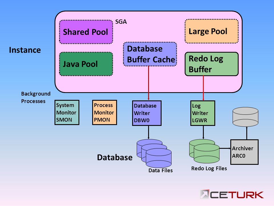 Буферный кэш базы данных. Redo log. PMON. Монитор процессов (PMON). Java pooling