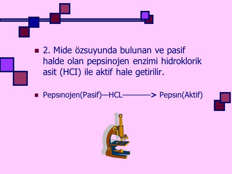 2. Mide özsuyunda bulunan ve pasif halde olan pepsinojen enzimi hidroklorik asit (HCI) ile aktif hale getirilir.
