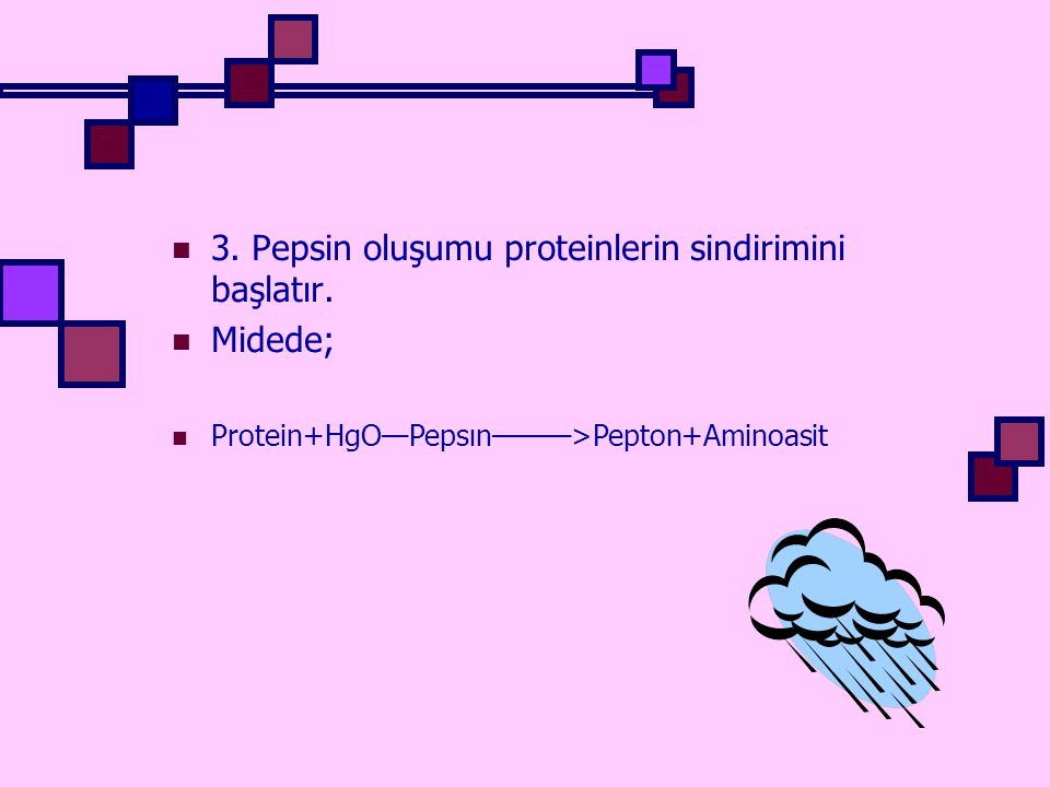 3. Pepsin oluşumu proteinlerin sindirimini başlatır. Midede;
