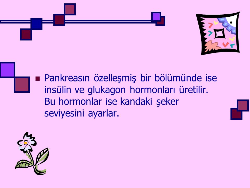 Pankreasın özelleşmiş bir bölümünde ise insülin ve glukagon hormonları üretilir.