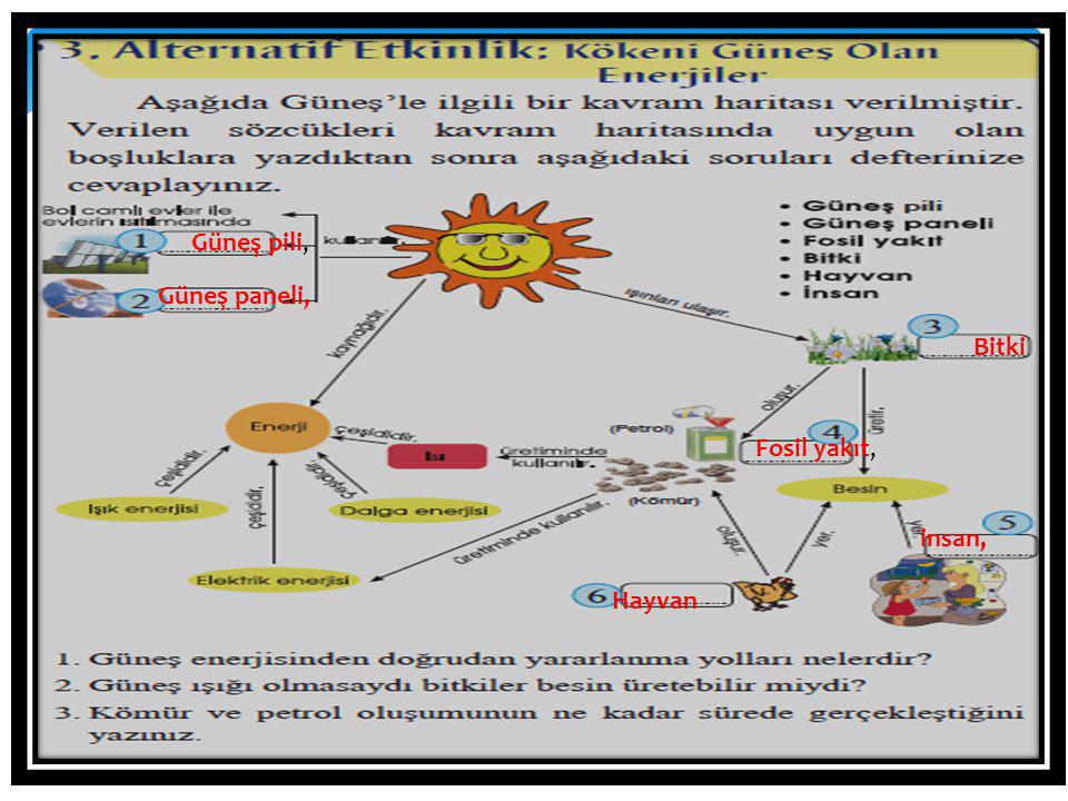 Güneş pili, Güneş paneli, Bitki Fosil yakıt, insan, Hayvan