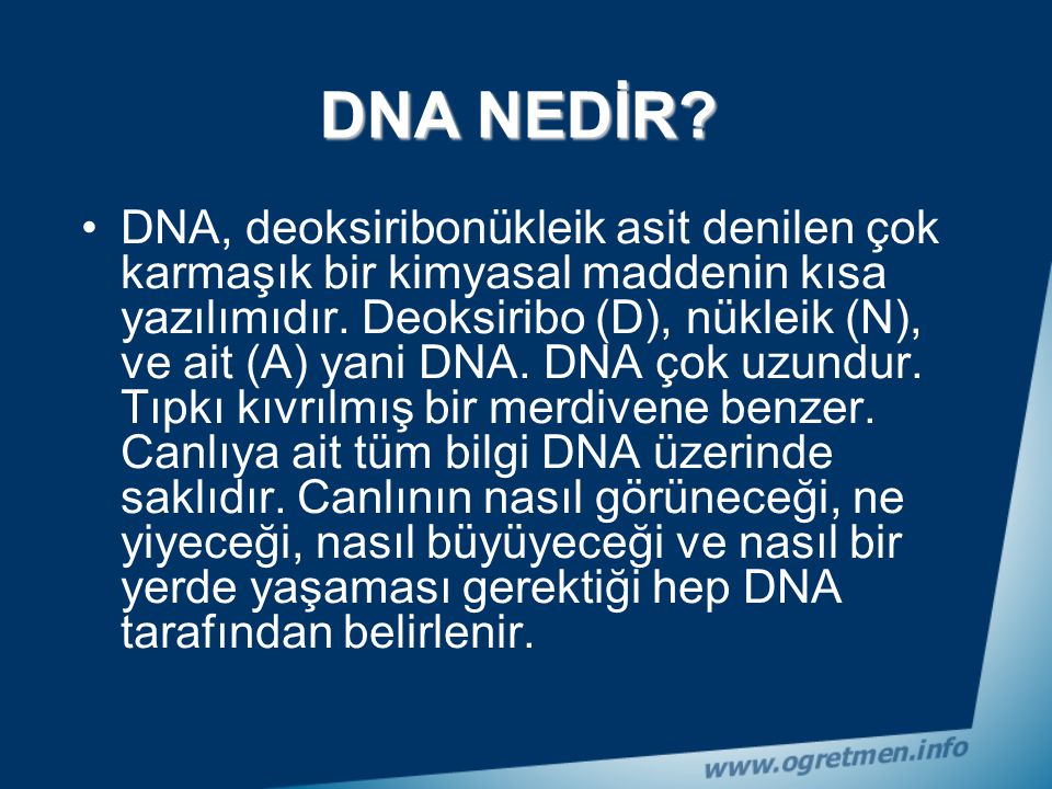 DNA NEDİR