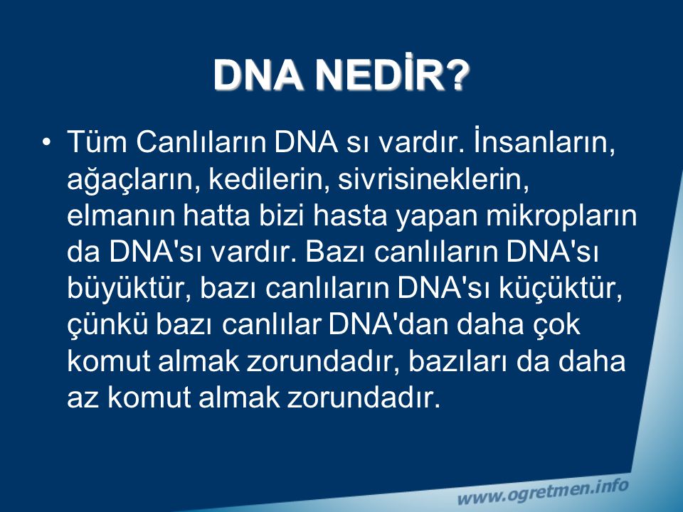 DNA NEDİR