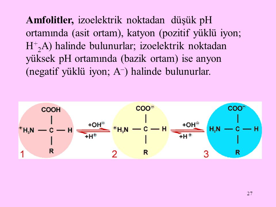 Amfolitler, izoelektrik noktadan düşük pH ortamında (asit ortam), katyon (pozitif yüklü iyon; H+2A) halinde bulunurlar; izoelektrik noktadan yüksek pH ortamında (bazik ortam) ise anyon (negatif yüklü iyon; A) halinde bulunurlar.