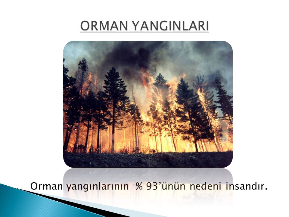 ORMAN YANGINLARI Orman yangınlarının % 93’ünün nedeni insandır.