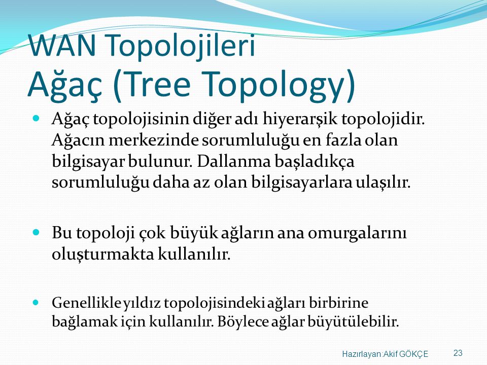 Ağaç (Tree Topology) WAN Topolojileri
