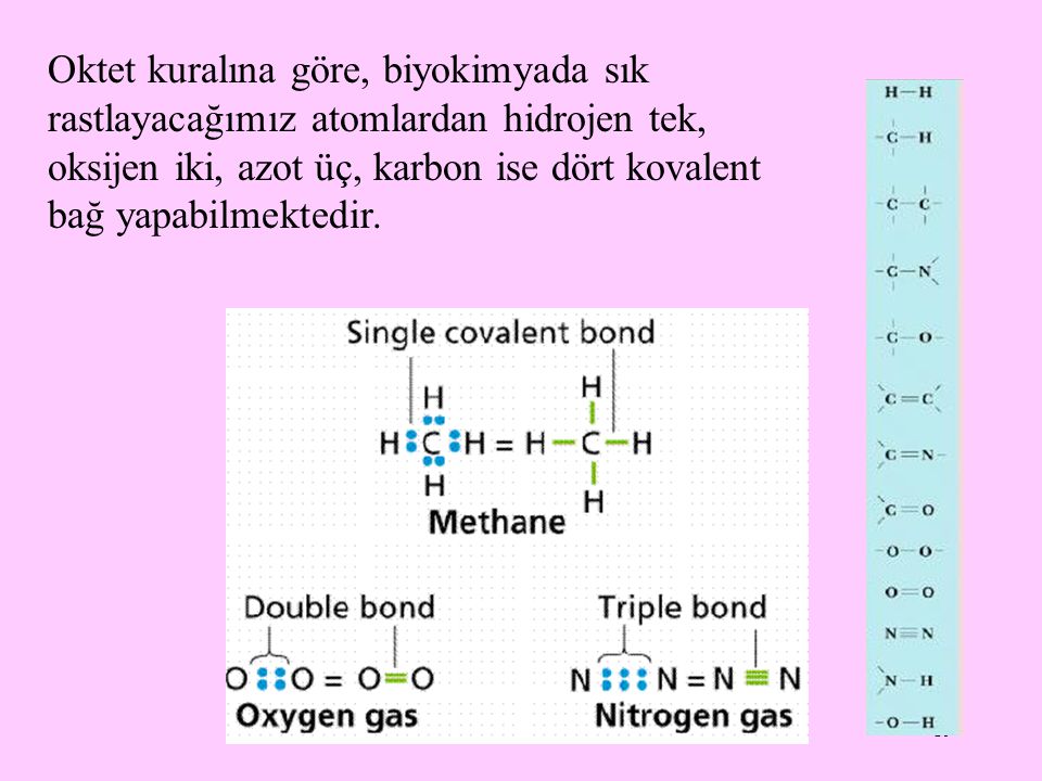 Oktet kuralına göre, biyokimyada sık rastlayacağımız atomlardan hidrojen tek, oksijen iki, azot üç, karbon ise dört kovalent bağ yapabilmektedir.
