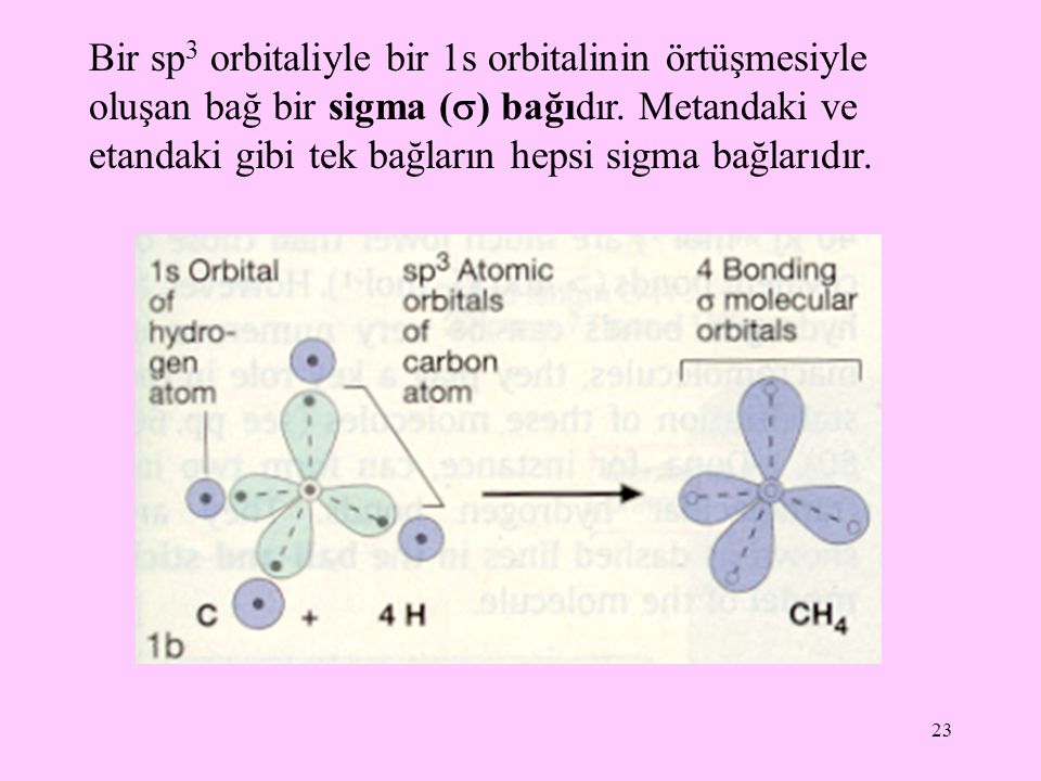 Bir sp3 orbitaliyle bir 1s orbitalinin örtüşmesiyle oluşan bağ bir sigma () bağıdır.