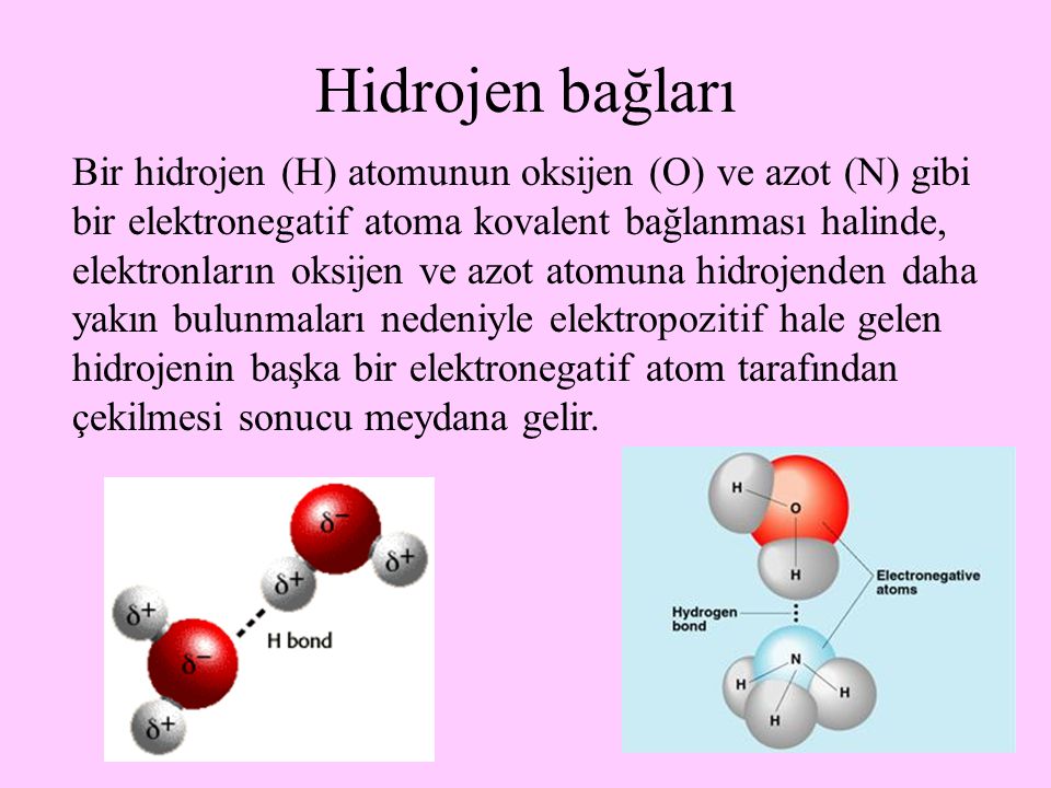Hidrojen bağları