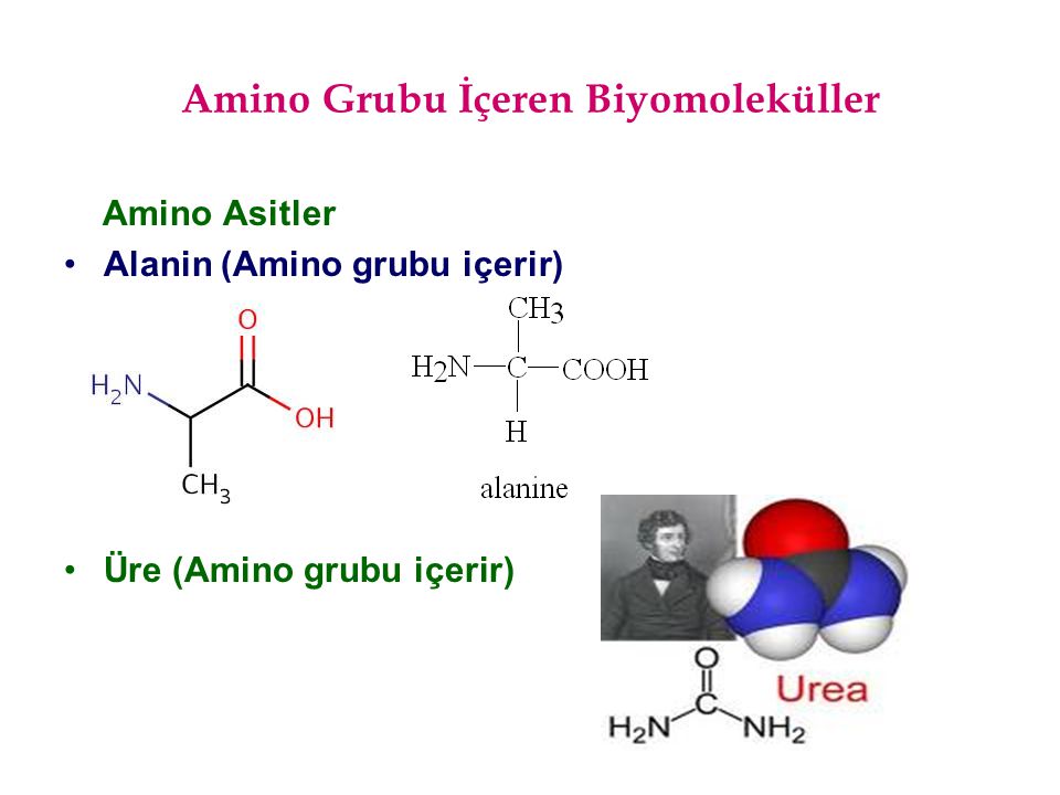 Amino Grubu İçeren Biyomoleküller