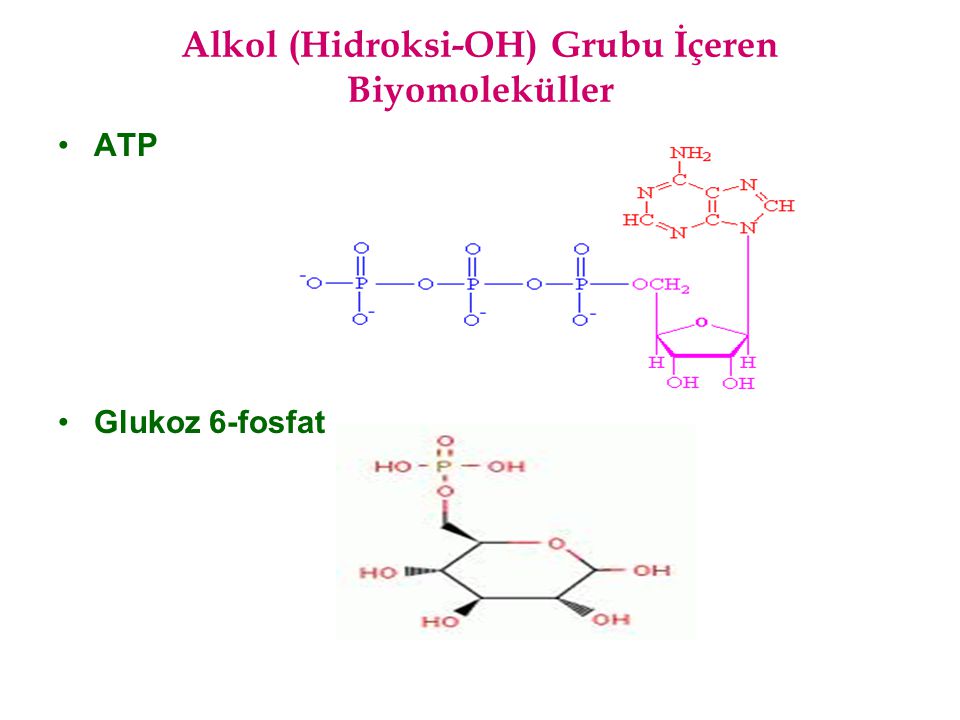 Alkol (Hidroksi-OH) Grubu İçeren Biyomoleküller
