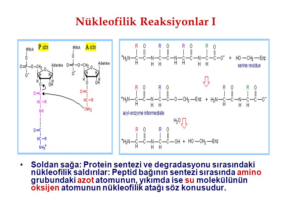 Nükleofilik Reaksiyonlar I