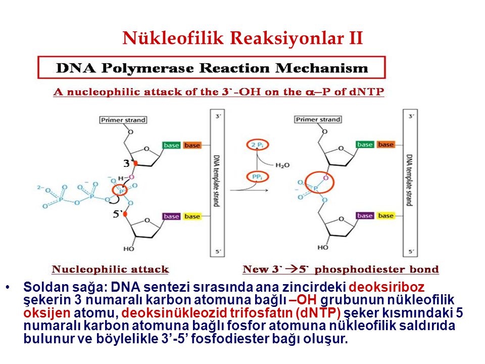 Nükleofilik Reaksiyonlar II