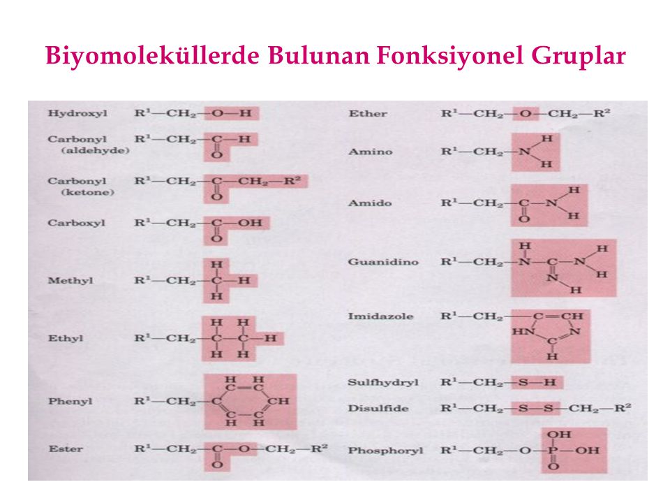 Biyomoleküllerde Bulunan Fonksiyonel Gruplar