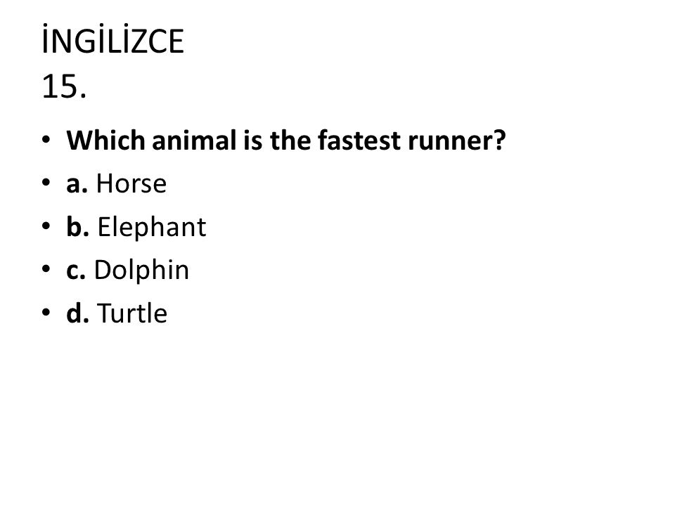 İNGİLİZCE 15. Which animal is the fastest runner a. Horse b. Elephant