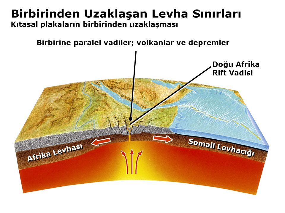 Birbirine paralel vadiler; volkanlar ve depremler