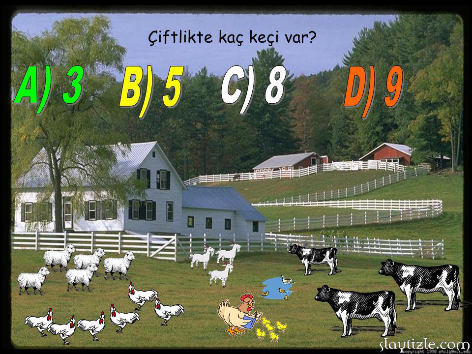 Çiftlikte kaç keçi var A) 3 B) 5 C) 8 D) 9