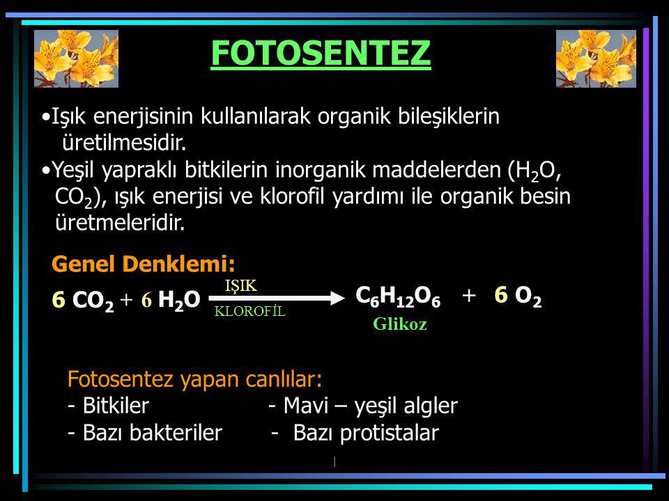 FOTOSENTEZ Işık enerjisinin kullanılarak organik bileşiklerin