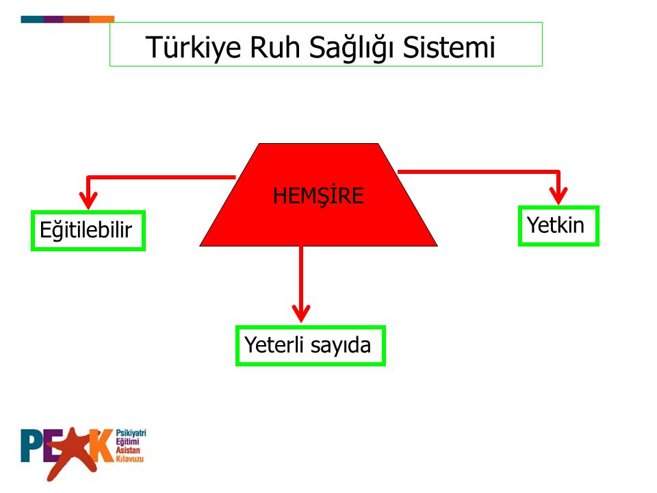 Türkiye Ruh Sağlığı Sistemi
