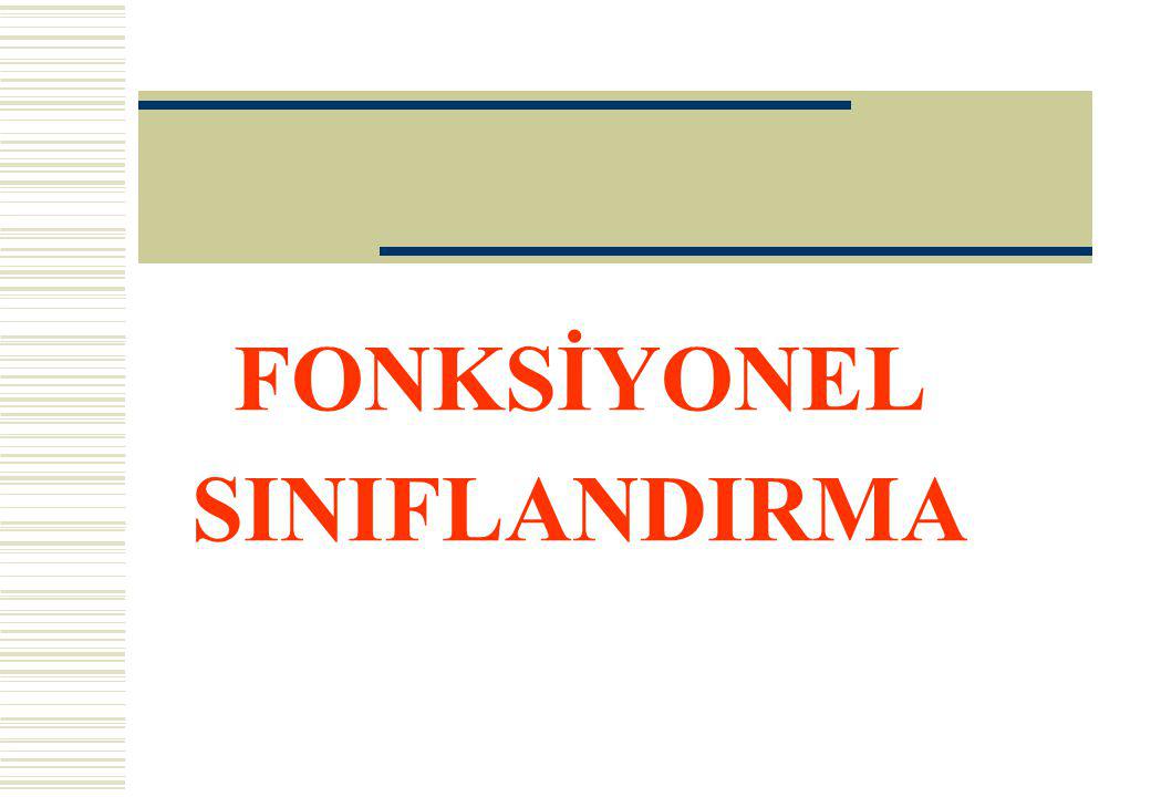 FONKSİYONEL SINIFLANDIRMA