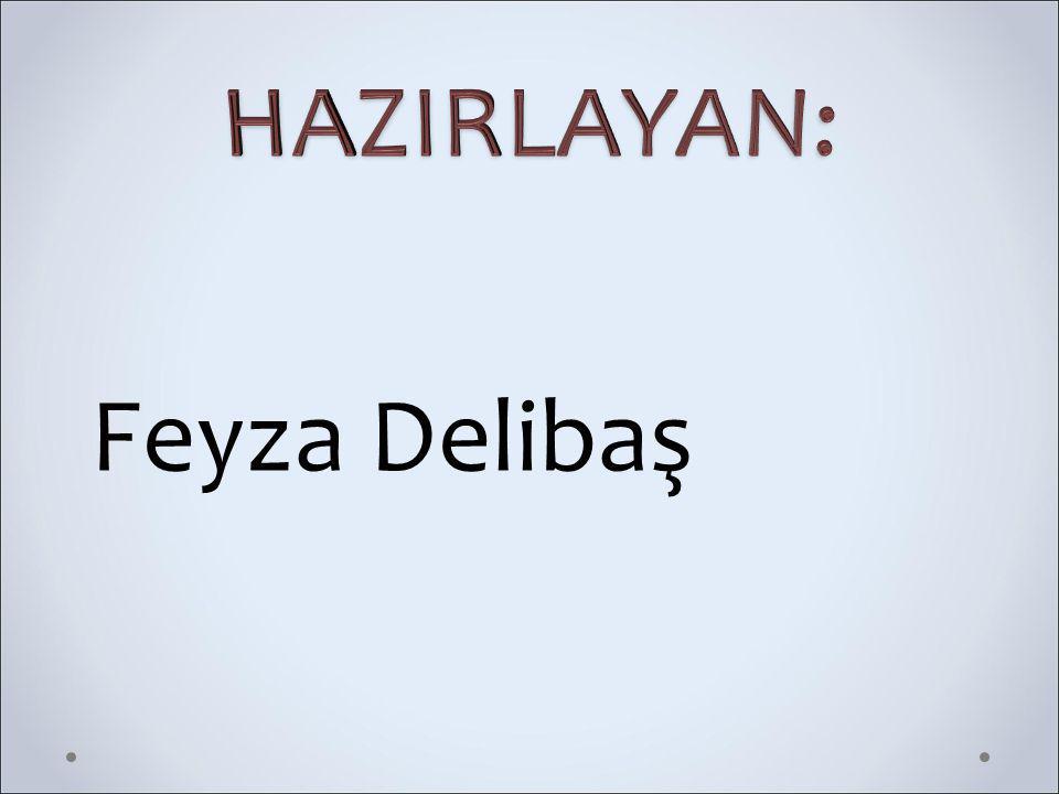 HAZIRLAYAN: Feyza Delibaş