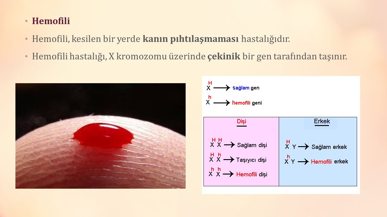 Kızı Patlatıyor Kan Akıyor