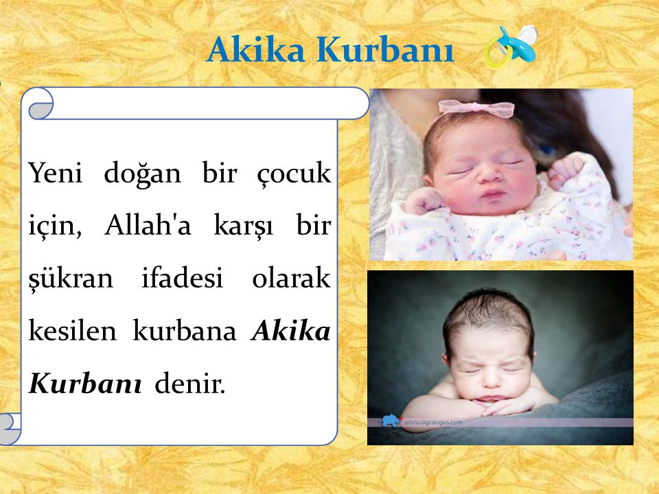 Akika Kurbanı Yeni doğan bir çocuk için, Allah a karşı bir şükran ifadesi olarak kesilen kurbana Akika Kurbanı denir.